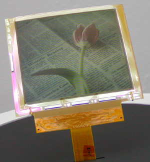 p12.jpg
