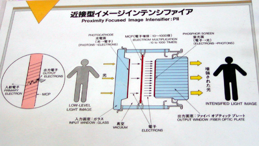 p10.jpg