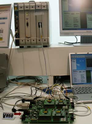 p3.jpg