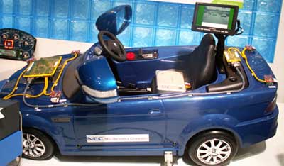 p5.jpg