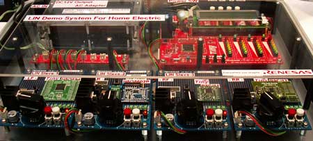 p6.jpg