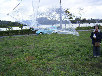 p11.jpg