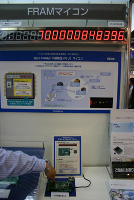p6.jpg