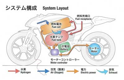 p4b.jpg
