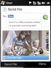 Skype_30